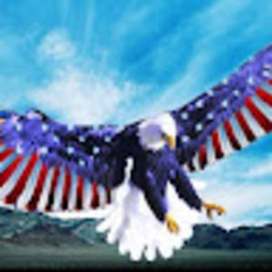 Meet your Posher, Sally